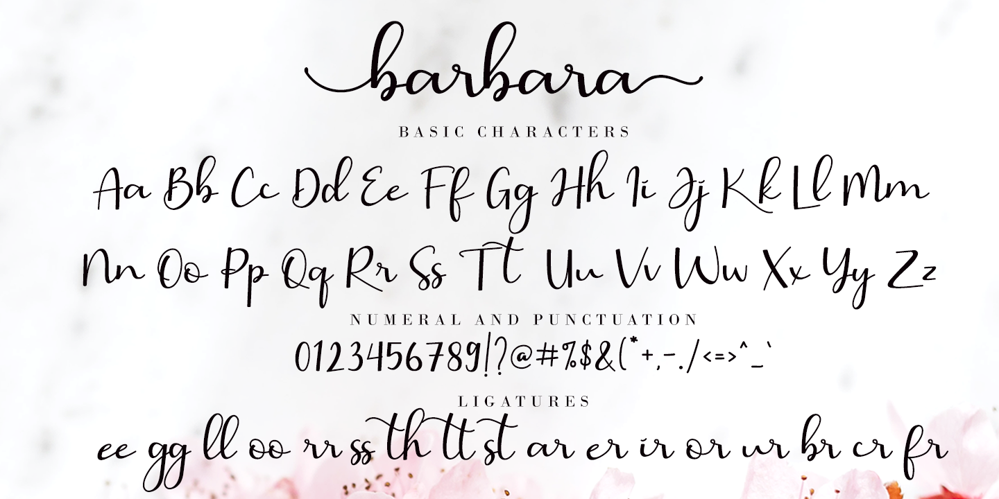 Barbara Calligraphy Regular Font preview